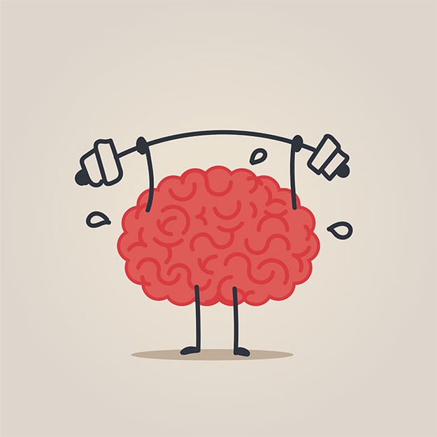 Cerveau