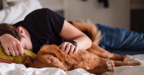 Homme endormi avec son chien pendant la journée